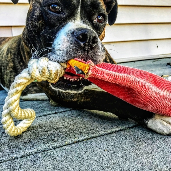 Tug And Go repurposed firehose original Tug - Picture 10 of 15